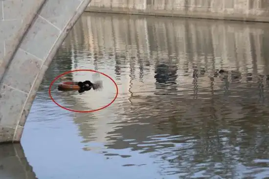 落水女子抱着救生圈漂在河面