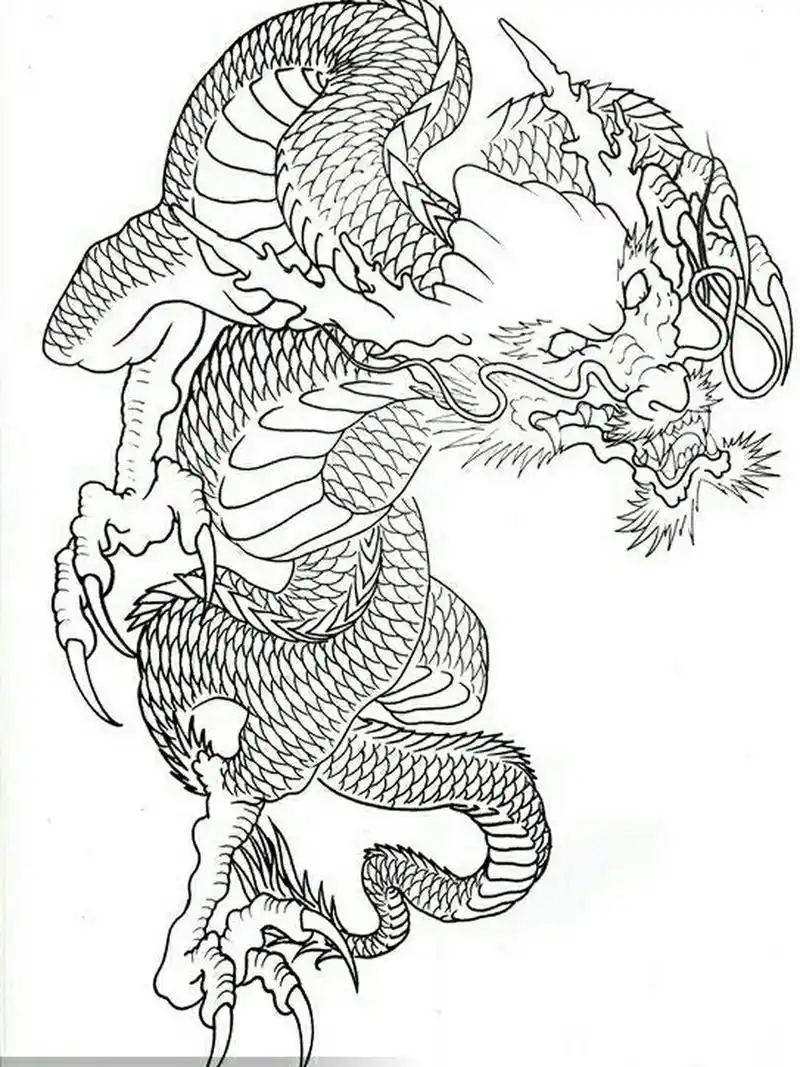 过肩龙纹身手稿 半胛