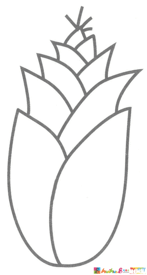 竹笋简笔画步骤图解教程