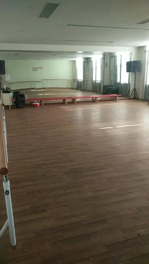 暑假舞蹈特训营