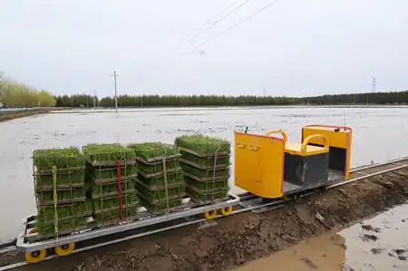 前哨农场:轨道运苗车助力农业节本增效