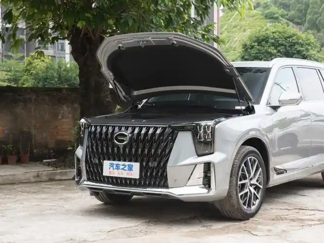 【图解图片_传祺佛山祺运店传祺gs8图片】-汽车之家