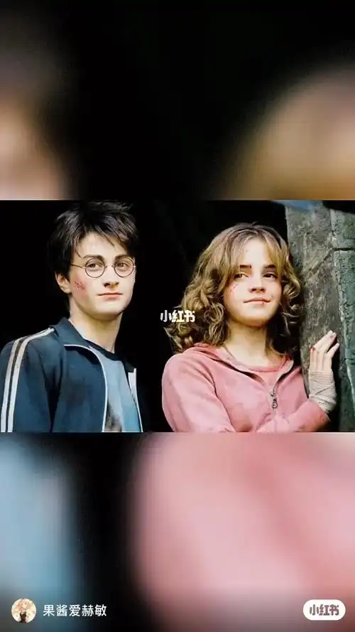 哈利波特和赫敏的小视频