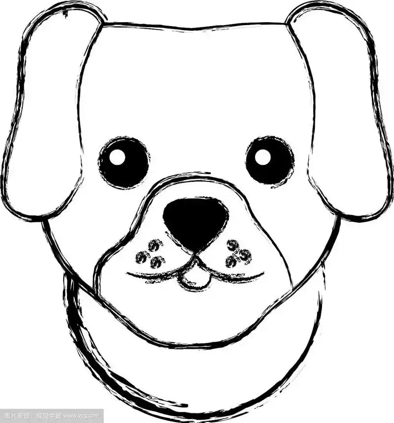 图可爱的狗头宠物动物