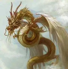 水里面的飞龙头像富丽皇堂飞龙真龙微信头像霸气青龙图片大全【点击