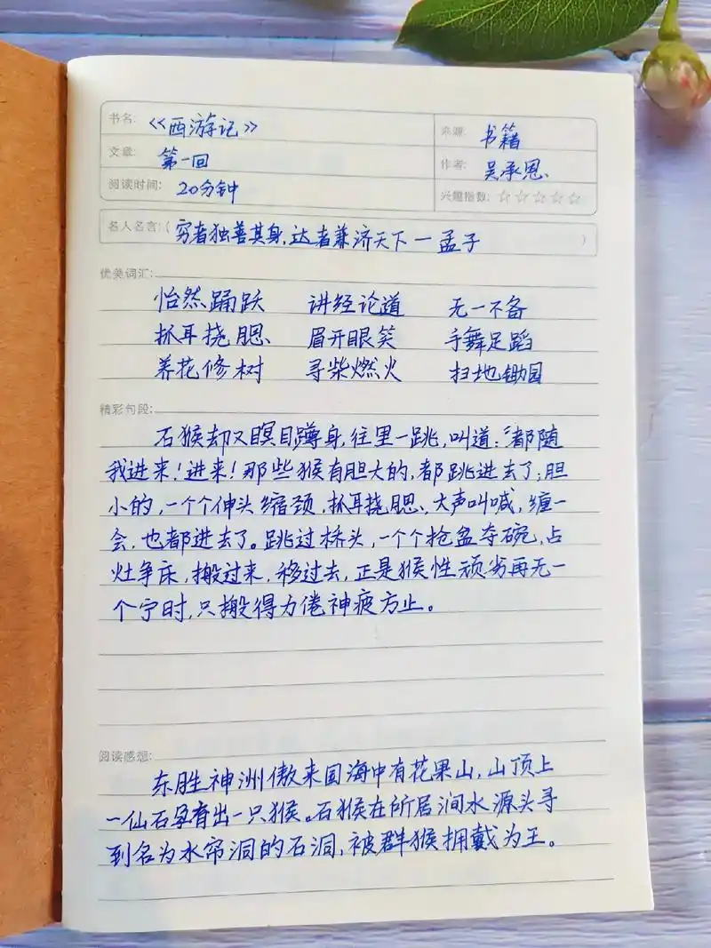 在动笔墨中阅读,在日积月累 - 抖音