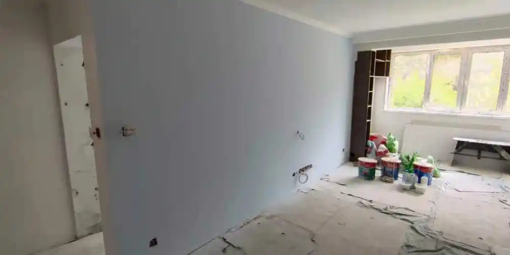 立邦乳胶漆上墙实拍