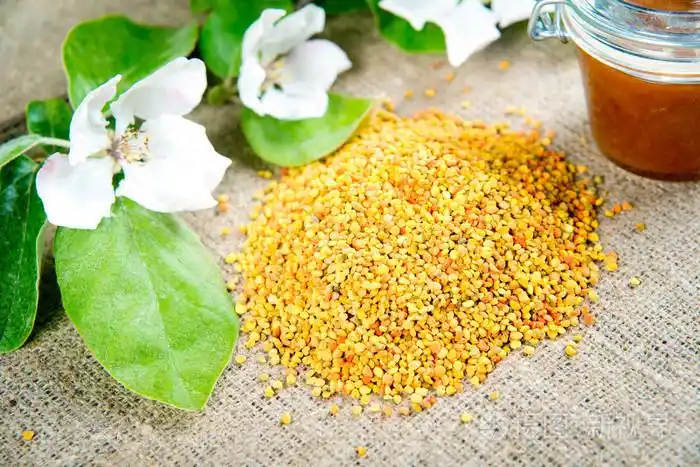 花粉蜂花粉特写