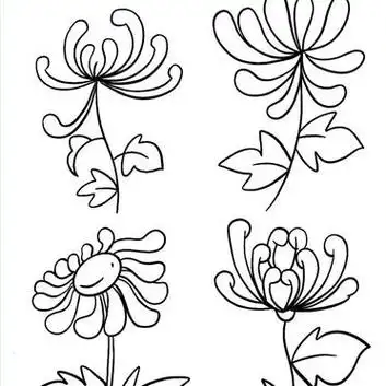 简笔画|菊花