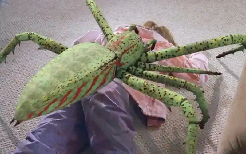 【怪咖说电影】《冰冻蜘蛛》六只蜘蛛激素吃多导致变异的电影