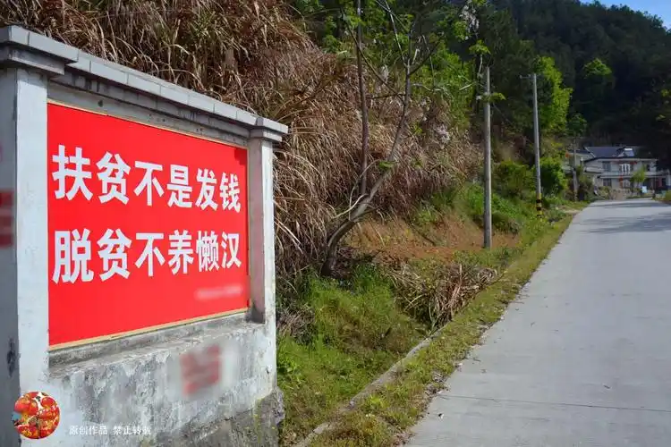 乡村标语催人奋进 争当贫困户吓跑儿媳妇