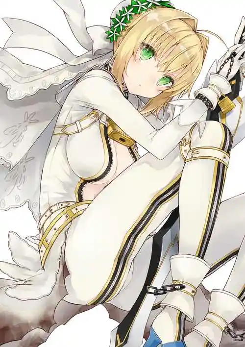 fate【花嫁尼禄】二次元萌图,萌娘资源站