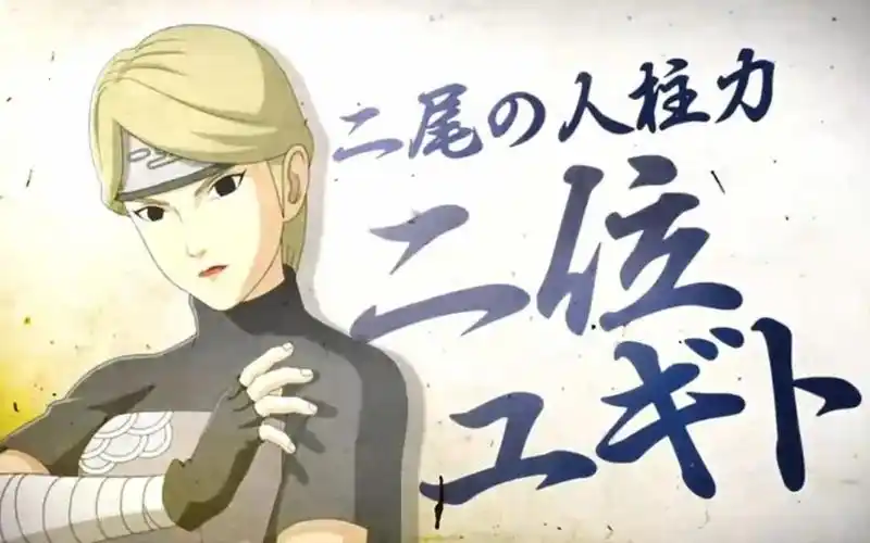 二尾由木人测评及竞技场阵容推荐