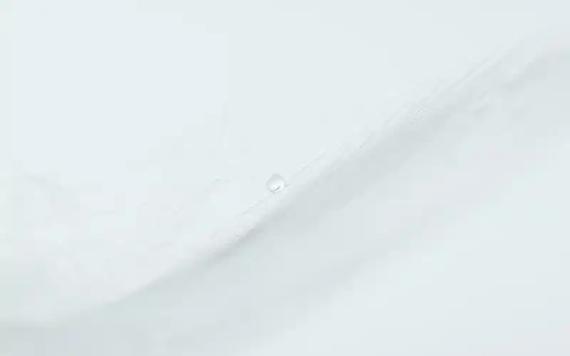 白色玫瑰花,高清图片,电脑桌面-壁纸族