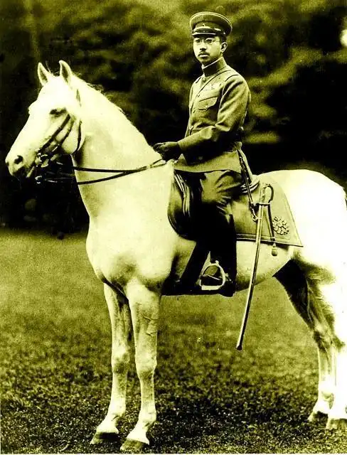 被遗忘的日本战犯:侵华战争中的日本裕仁天皇及皇族