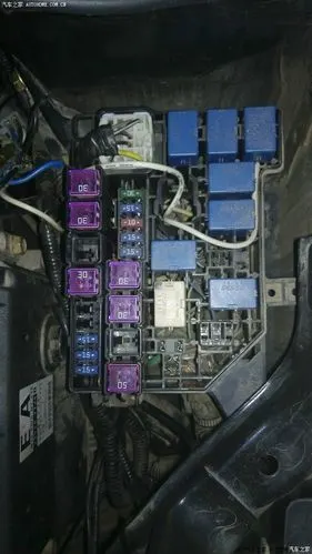 图上哪个是鼓风机继电器?