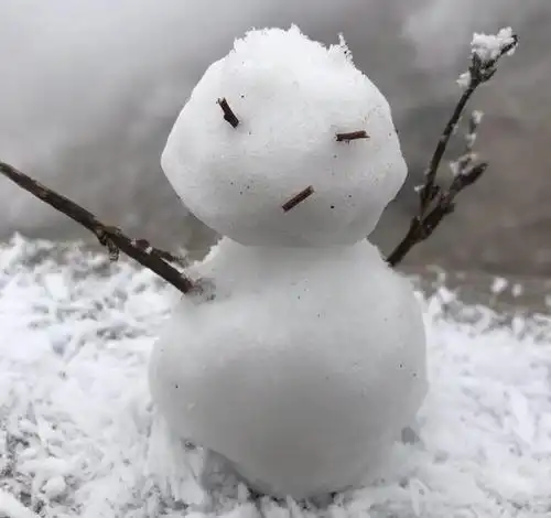 用什么来形容广东人堆的雪人