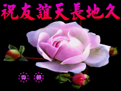 写美篇是记忆中最美好的风景 挥挥手阔别60载 悠悠同学情60年相逢方