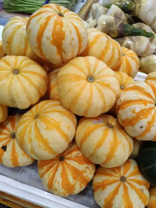 太阳南瓜新鲜贝贝果贝贝迷你小南瓜金桔250克南瓜