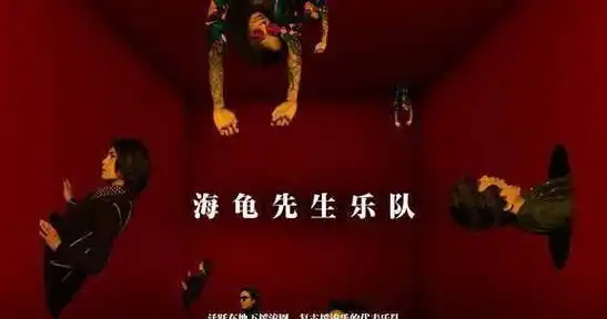 你觉得"海龟先生"会成为第二个黑板乐队吗?