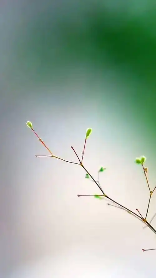 图片发自app现在,社会人心浮躁,能静下心来看书,认认真真做事,是一种