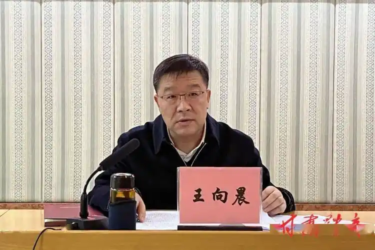 十大精神学习心得,结合本单位,本岗位对工作的思考进行了发言,王向晨