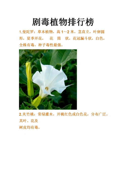 剧毒植物排行榜.doc