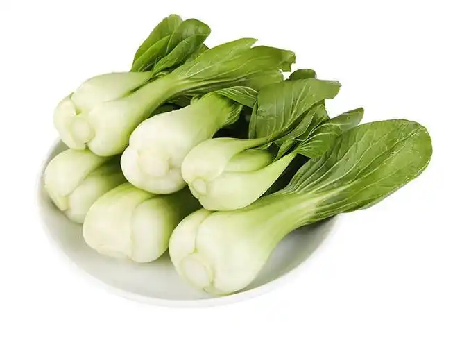 供港小油菜图片