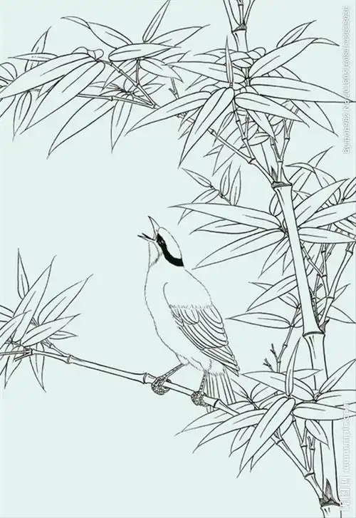 竹子简笔画步骤手绘铅笔画