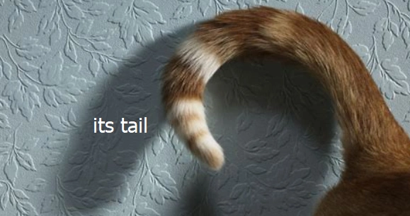 例句:the little dog ran off wagging its tail.