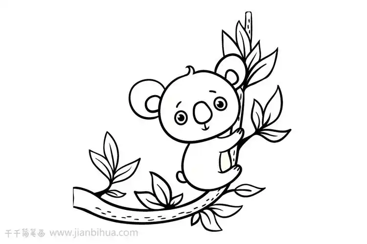 乖巧的树袋熊简笔画图片