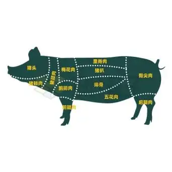 猪肉各部位图解名称辨别图8171225矢量图片免抠素材