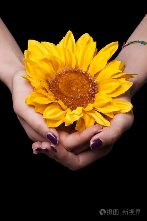 女性手里拿着向日葵