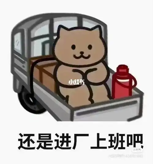 进厂打工  有需要工作的可以私聊我进厂,中国人不骗中国人,真实工价