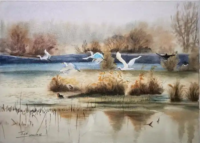 一行白鹭上青天