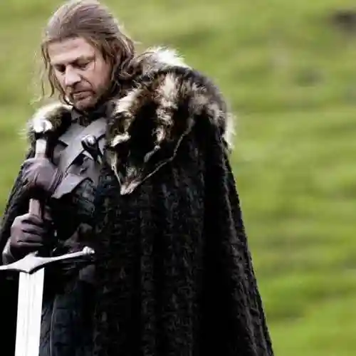 奈德史塔克头像