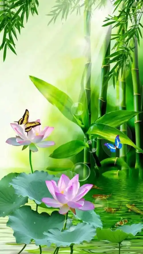 意境壁纸:让烦躁的心静下来