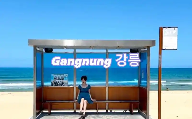 下一个春日来临时,我们一定会再见的|江陵两天一夜vlog|bts车站|春日&