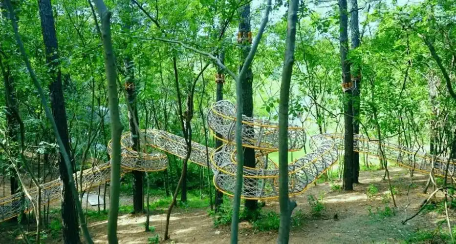 松鼠咔咔:2年如何成为网红乐园