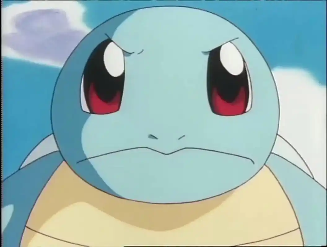 杰尼龟表情包 大家可以随意发挥想象给我们队长加上文字哈哈哈哈哈哈