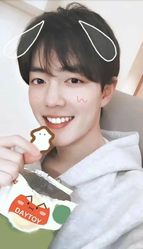 肖战 壁纸聊天背景