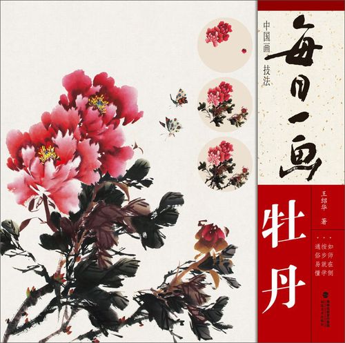 绘画图书每日一画牡丹 每日一画牡丹