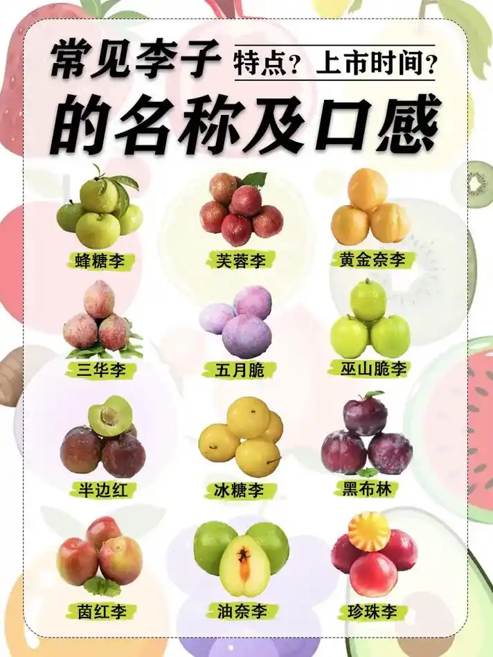常见的李子口感与区别,你最爱哪一种李子?#水果店 - 抖音