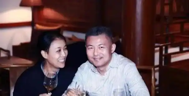 那英:和高峰同居10年遭抛弃,带着儿子嫁富商