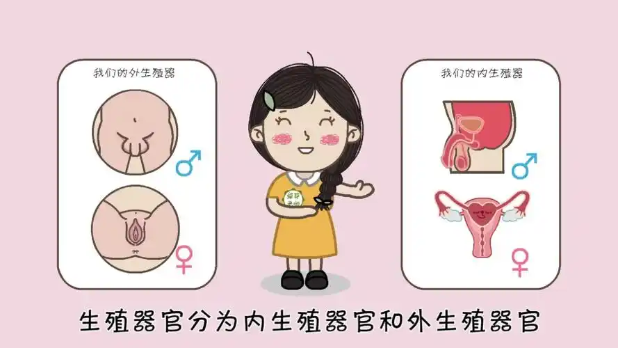 性教育——不让无知成为孩子成长的绊脚石