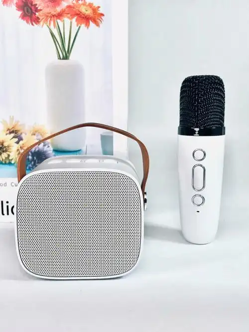 双十一买什么63一体式麦克风音响带来的快