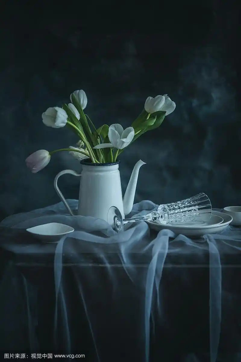 室内桌上摆放的花和静物