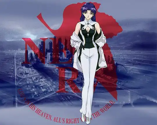 补锅匠的相册葛城美里