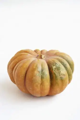 无人,竖图,俯视,室内,特写,白天,白色背景,南瓜,蔬菜,静物,新鲜,金瓜