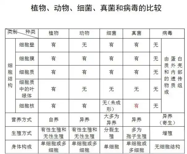 植物,动物,细菌,真菌和病毒.